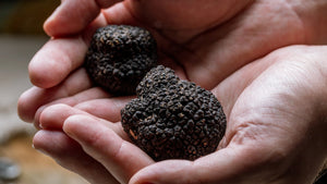 Black_Truffles_SydPlayEat