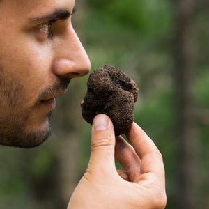 A man smelling a black truffle